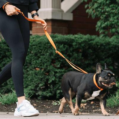 Show full view: Canada Pooch Adjustable Length Utility Dog Leash, Orange Camo, Small/Medium: 4 to 6-ft long, 0.8-in wide slide 2 of 6