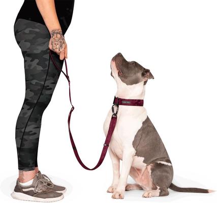Show full view: Canada Pooch Adjustable Length Utility Dog Leash, Plum Camo, Large/X-Large: 4 to 6-ft long, 1-in wide slide 5 of 6