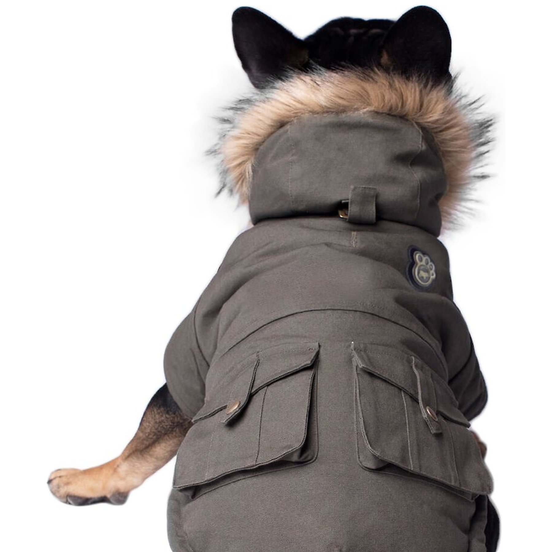 Canada Pooch Alaskan Army Premium Faux Down Insulated Dog Parka, Army Green, 14