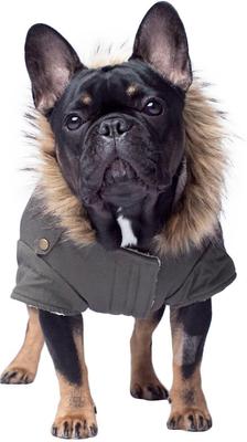 Show full view: Canada Pooch Alaskan Army Premium Faux Down Insulated Dog Parka, Army Green, 14 slide 3 of 7