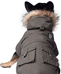 Canada Pooch Alaskan Army Premium Faux Down Insulated Dog Parka, Army Green, 18