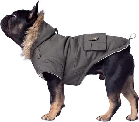 Show full view: Canada Pooch Alaskan Army Premium Faux Down Insulated Dog Parka, Army Green, 26 slide 2 of 7