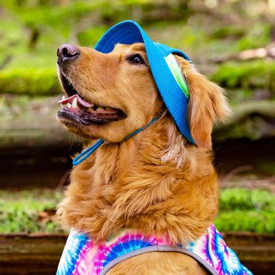 Show full view: Canada Pooch Chill Seeker Cooling Dog Hat, Small slide 5 of 7