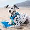 Show in main carousel: Canada Pooch Chill Seeker Cooling Pal Blue Dolphin Dog Toy slide 3 of 4