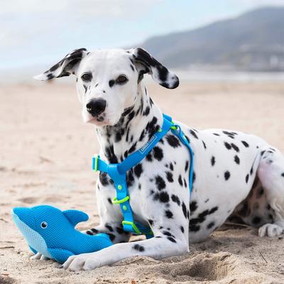 Show full view: Canada Pooch Chill Seeker Cooling Pal Blue Dolphin Dog Toy slide 3 of 4