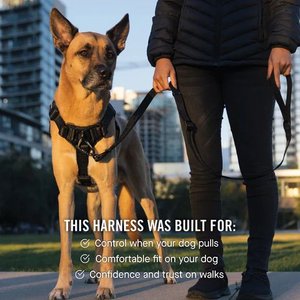 Canada Pooch Complete Control Dog Harness, Black, Large