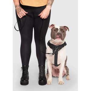 Canada Pooch Complete Control Dog Harness, Black, Large