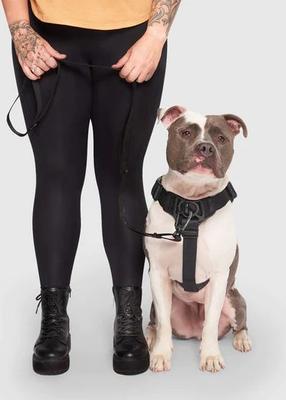 Show full view: Canada Pooch Complete Control Dog Harness, Black, Large slide 6 of 8