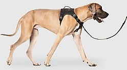 Canada Pooch Complete Control Dog Harness, Black, Small