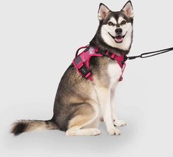 Canada Pooch Complete Control Dog Harness, Pink Plaid, Medium