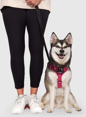 Show full view: Canada Pooch Complete Control Dog Harness, Pink Plaid, Medium slide 5 of 8