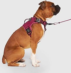Canada Pooch Complete Control Dog Harness, Plum, Large