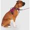 Show in main carousel: Canada Pooch Complete Control Dog Harness, Plum, X-Large slide 1 of 9