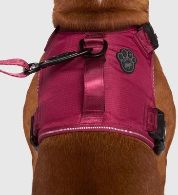 Show full view: Canada Pooch Complete Control Dog Harness, Plum, X-Large slide 4 of 9