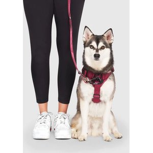 Canada Pooch Complete Control Dog Harness, Plum, X-Large
