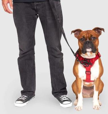 Show full view: Canada Pooch Complete Control Dog Harness, Red, Large slide 5 of 8