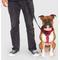 Show in main carousel: Canada Pooch Complete Control Dog Harness, Red, Small slide 6 of 9