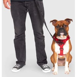 Canada Pooch Complete Control Dog Harness, Red, X-Large