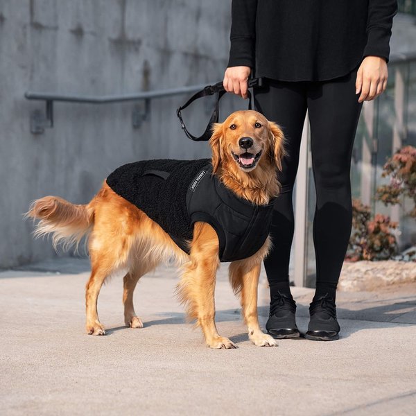 Show full view: Canada Pooch Cool Factor Puffer Dog Coat, Black, 20 slide 5 of 6