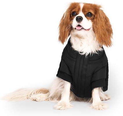 Show full view: Canada Pooch Cool Factor Puffer Dog Coat, Black, 20 slide 3 of 7