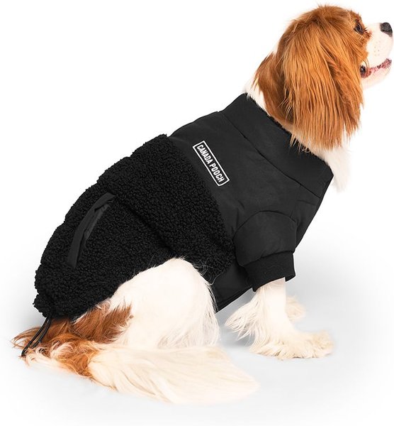 Show full view: Canada Pooch Cool Factor Puffer Dog Coat, Black, 20 slide 3 of 6