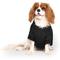 Show in main carousel: Canada Pooch Cool Factor Puffer Dog Coat, Black, 22 slide 2 of 6
