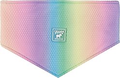 Canada Pooch Cooling Dog Bandana, Rainbow, Small