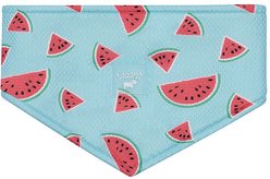 Canada Pooch Cooling Dog Bandana, Watermelon, Large