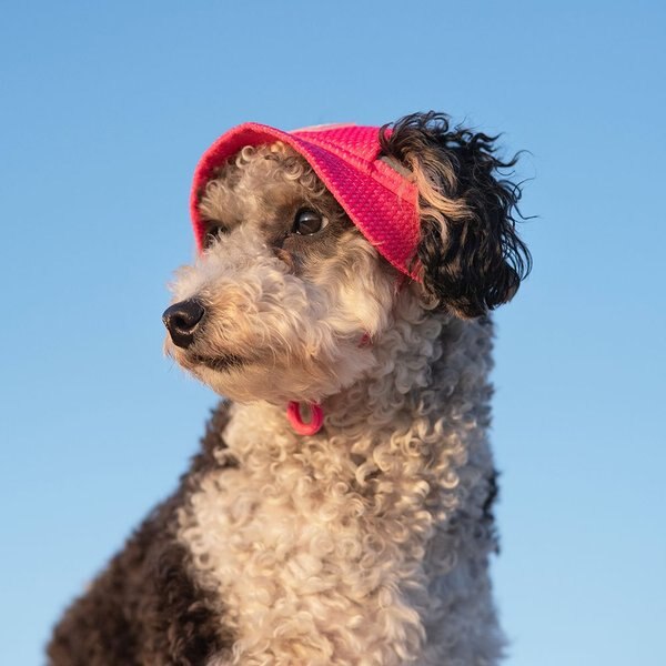 Dog Sun Hat Arctic Hat Evaporative Cooling Cap Polyester