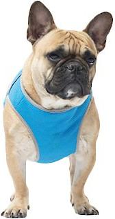 Show full view: Canada Pooch Cooling Dog Vest, 18 slide 3 of 7
