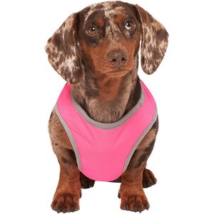 Canada Pooch Cooling Dog Vest, Neon Pink, 14