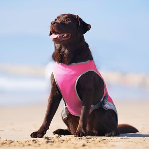 Canada Pooch Cooling Dog Vest, Neon Pink, 14