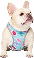 Canada Pooch Cooling Dog Vest, Popsicles, 14 slide 2 of 5