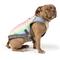 Show in main carousel: Canada Pooch Cooling Dog Vest, Rainbow, 12 slide 1 of 8