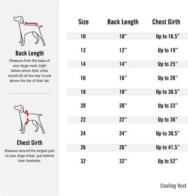 Show full view: Canada Pooch Cooling Dog Vest, Rainbow, 12 slide 2 of 8