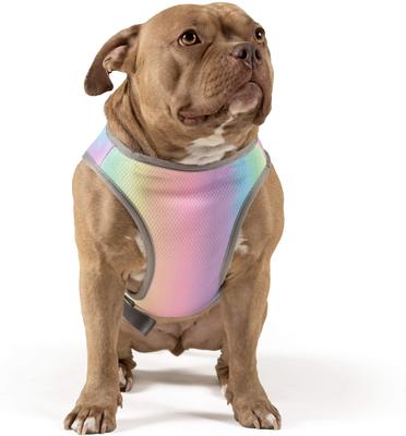 Show full view: Canada Pooch Cooling Dog Vest, Rainbow, 12 slide 3 of 8