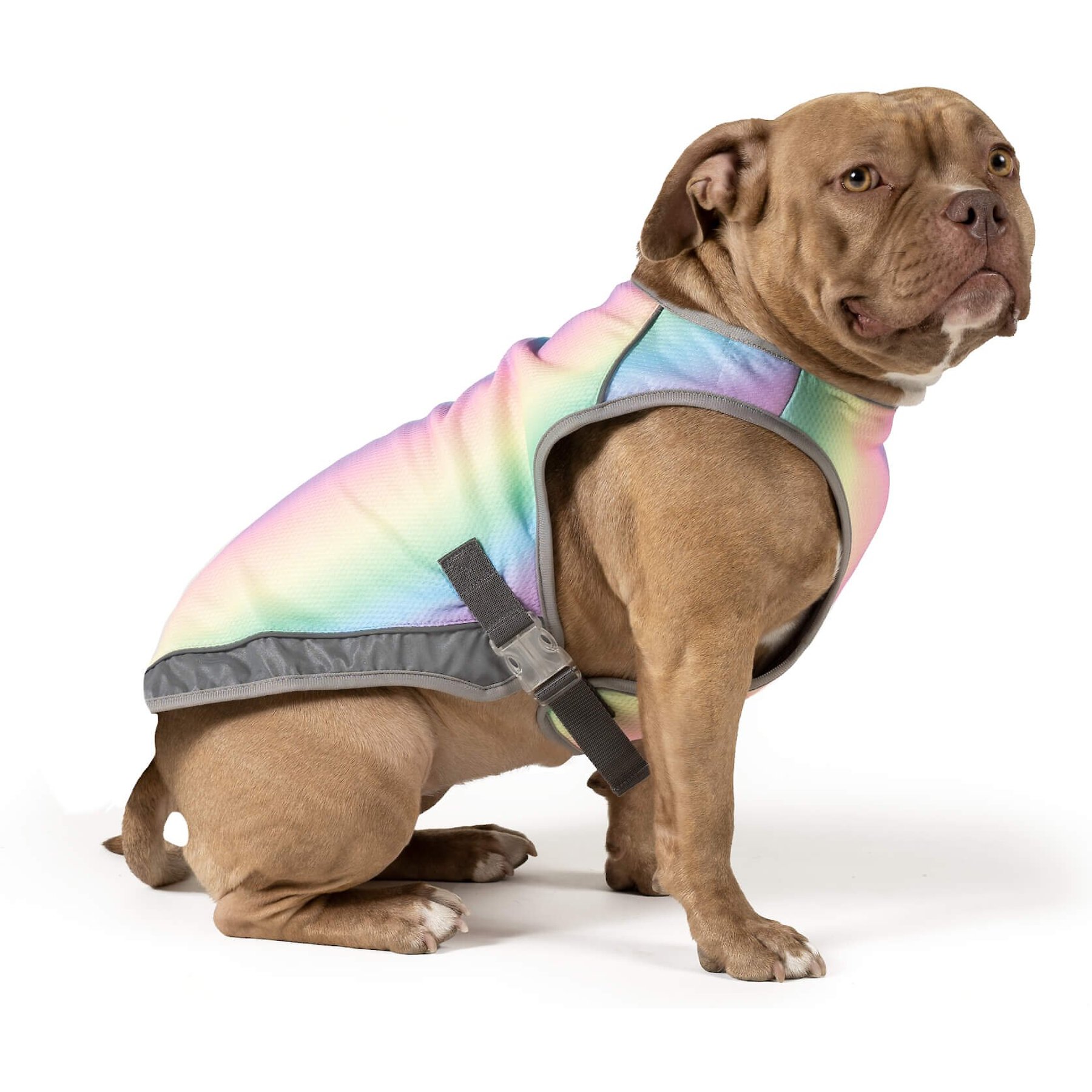 Canada Pooch Cooling Dog Vest, Rainbow, 18