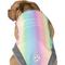 Show in main carousel: Canada Pooch Cooling Dog Vest, Rainbow, 22 slide 5 of 9