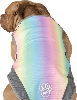 Show full view: Canada Pooch Cooling Dog Vest, Rainbow, 22 slide 5 of 9