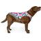 Show in main carousel: Canada Pooch Cooling Dog Vest, Tie Dye, 20 slide 1 of 9