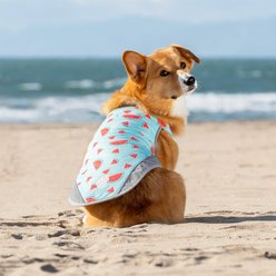 Canada Pooch Cooling Dog Vest, Watermelon, 22 slide 2 of 5