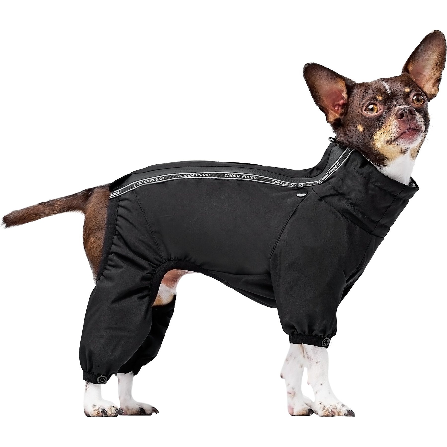 Canada Pooch Dog Snowsuit, Black, 12