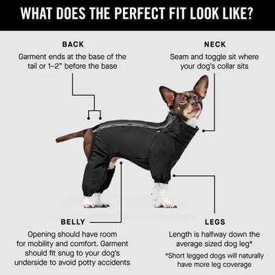 Show full view: Canada Pooch Dog Snowsuit, Black, 14 slide 2 of 5