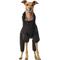 Show in main carousel: Canada Pooch Dog Snowsuit, Black, 26 slide 2 of 5