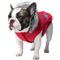 Show in main carousel: Canada Pooch Everest Explorer Premium Faux Down Insulated Dog Jacket, Red Reflective, 8 slide 5 of 9