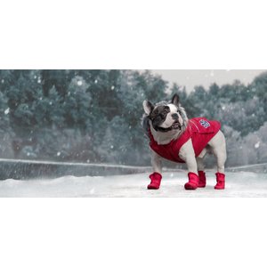 Canada Pooch Everest Explorer Premium Faux Down Insulated Dog Jacket, Red Reflective, 8