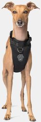 Canada Pooch Everything Dog Harness, Black, Medium