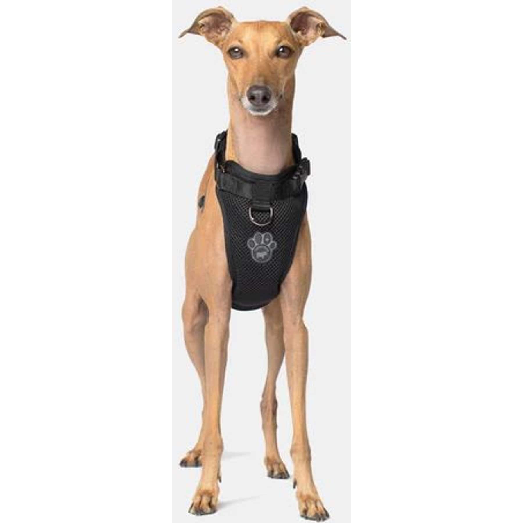 Canada Pooch Everything Dog Harness, Black, Medium