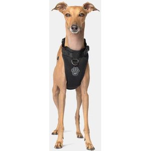 Canada Pooch Everything Dog Harness, Black, Medium