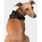 Show in main carousel: Canada Pooch Everything Dog Harness, Black, Medium slide 3 of 7